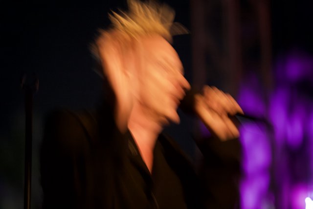 Blurry Concert Performance
