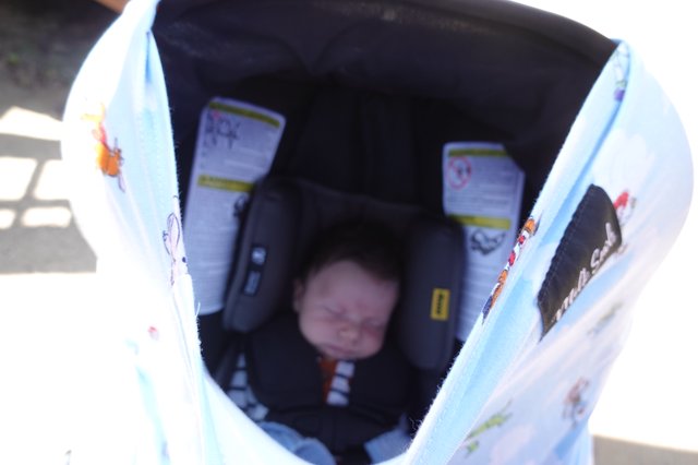 Baby Wesley in Car Seat Stroller