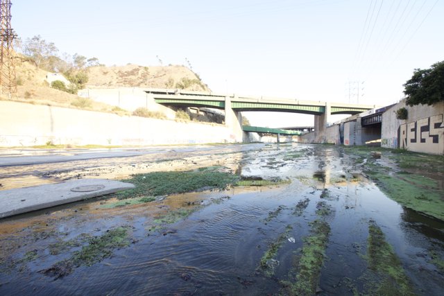 Algae Overrun La River