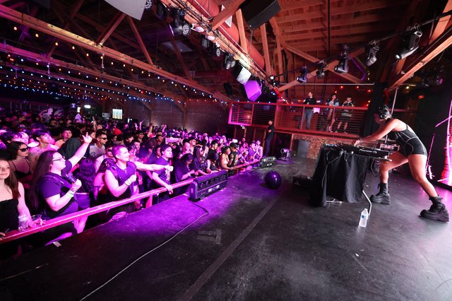 DJ Ignites Massive Crowd at Wobbleland 2026