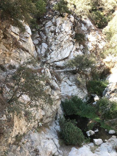 Rocky Canyon Stream Adventure