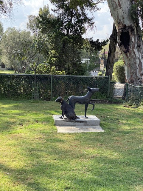 Statue of a Dog and a Horse in Xochimilco Park
