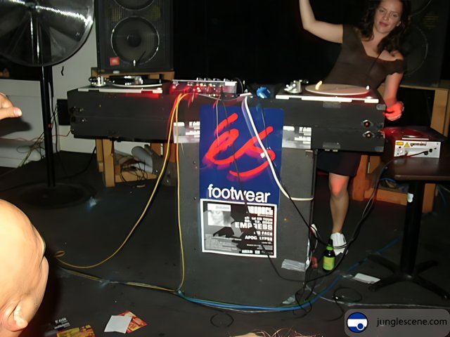 DJ Lady in Action