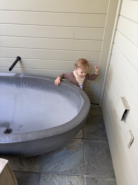 Curious Explorations