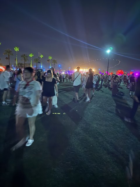 Vibrant Night Under the Palm Trees