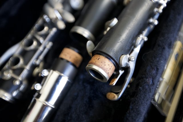 Elegant Selmer Clarinet Resting on its Case