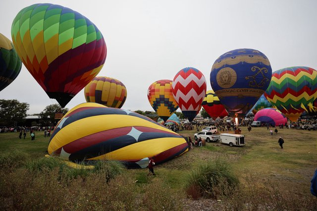 Colorful Hot Air Balloons Rising at Sonoma Classic