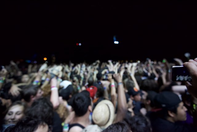 Coachella 2011: The Electric Crowd