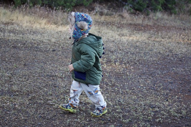 Little Explorer Trekking Through Mt. Diablo Wilderness