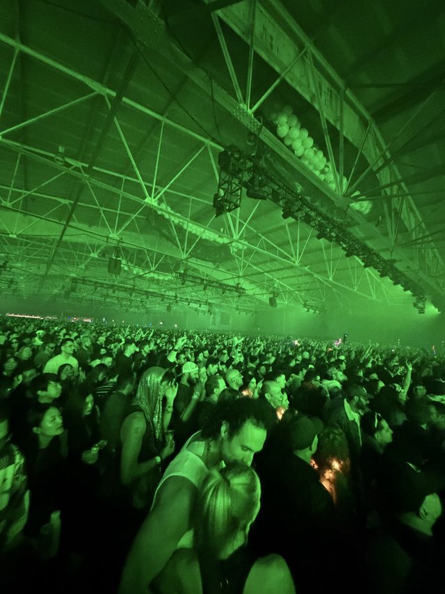 Green-Lit Crowd at Electronic Music Concert