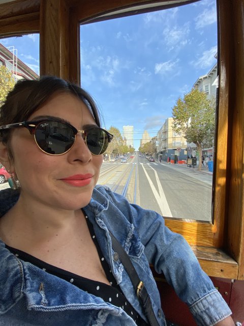 Sunny Day on the Trolley