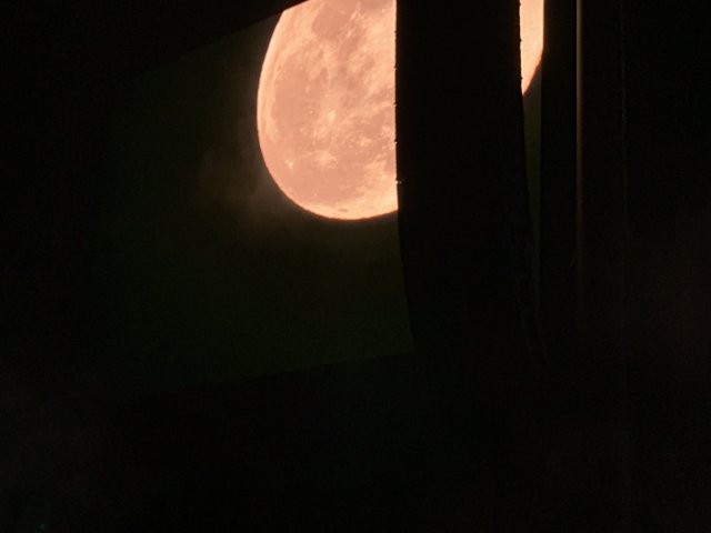 Pink Moon Over Indio
