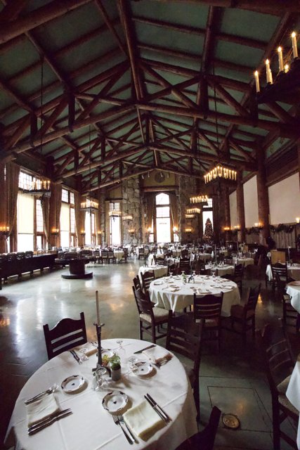 Aerial Perspective of a Grand Yosemite Dining Experience