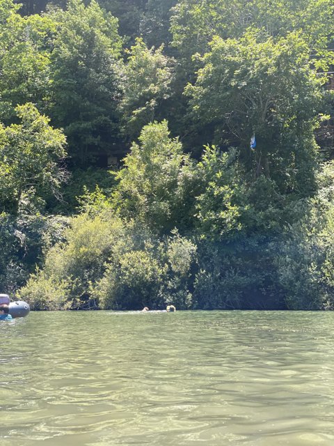 Kayaking through the Vegetation