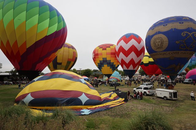 Colorful Hot Air Balloons Fill the Sky at Festival