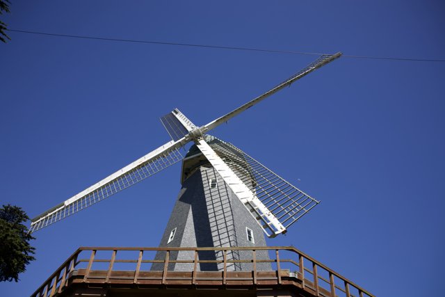 Captivating Mill at Golden Gate Park
