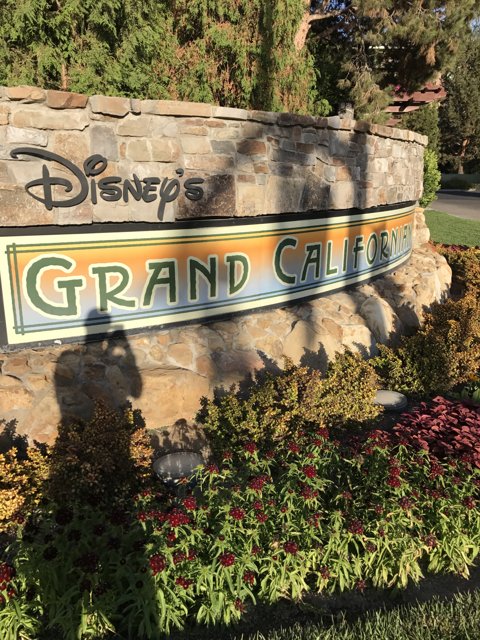 The Natural Wonderland of Disney's Grand California Resort