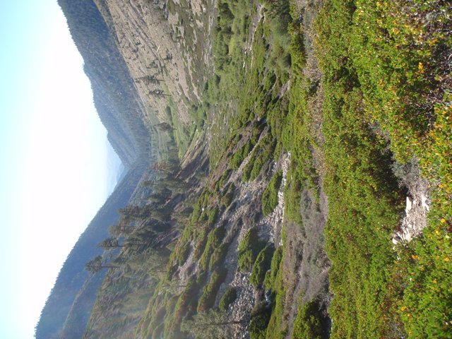 A Fiery View From San Gorgonio Mountain