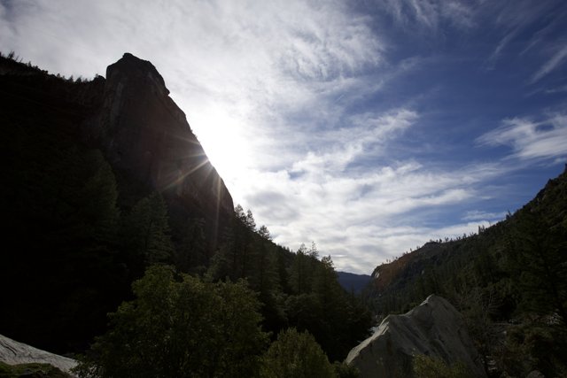 Basking in Yosemite's Radiance, 2023