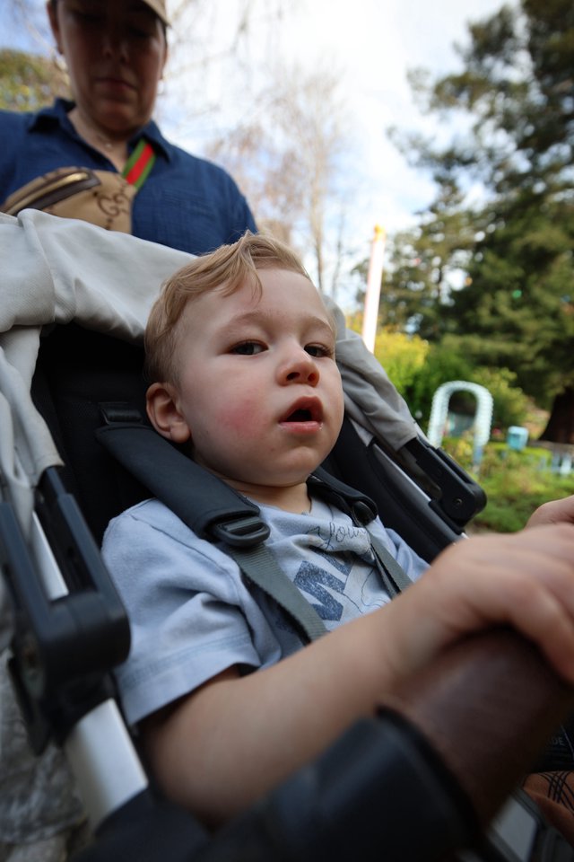 Young Child in Stroller at Outdoor Park Setting