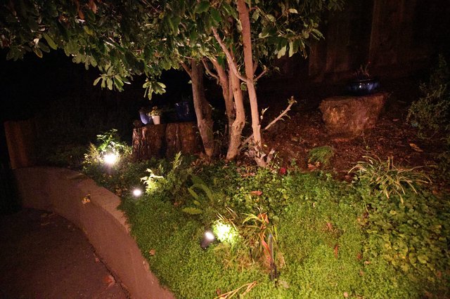 Nighttime Garden Path with Illuminated Landscaping