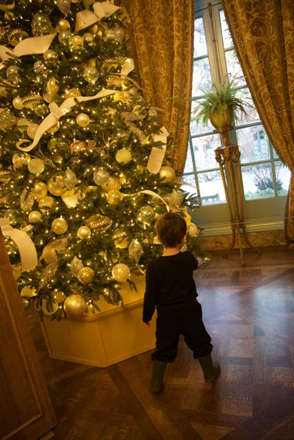 Enchanted By Holiday Lights