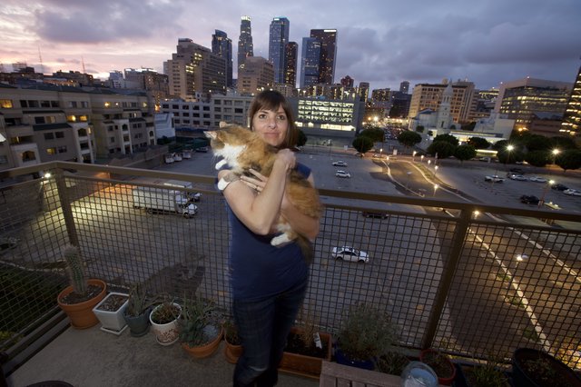 City Cat Lady on Downtown Los Angeles Rooftop at Dusk