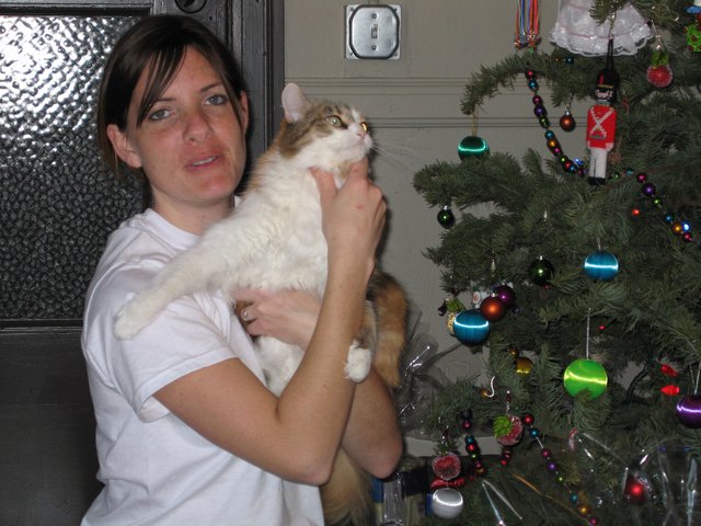 Woman Holds Cat Beside Decorated Christmas Tree