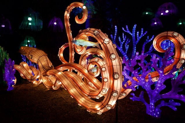 Illuminated Nightlife at Glowfari, Oakland Zoo, 2023