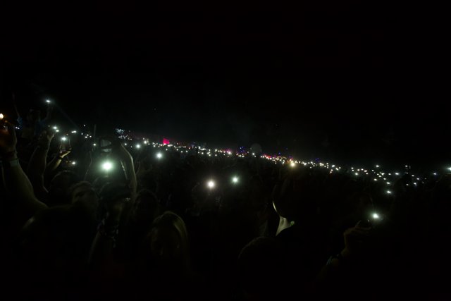Illuminated Audience at Coachella