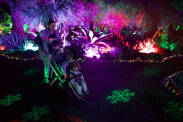 Enchanted Evening at Garden of D’Lights