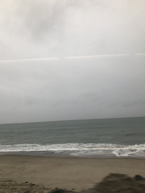 Ocean View from the Train