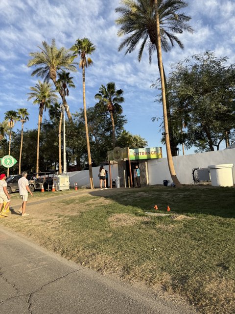 Palm-Filled Pathways