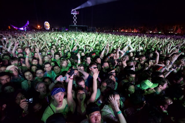 Coachella 2011 Rock Concert Crowd