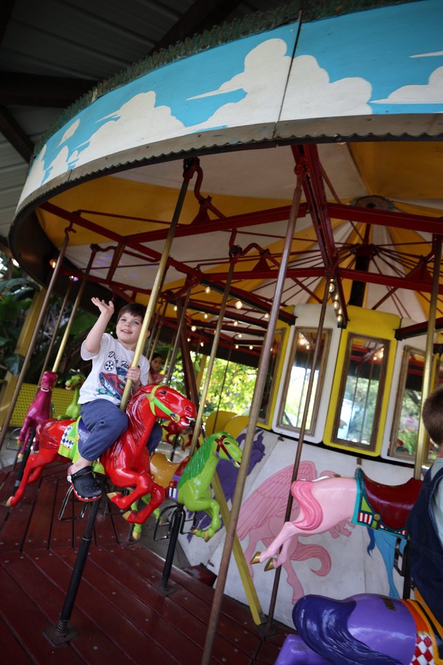 Young Boy Riding Red Dinosaur on Carousel
