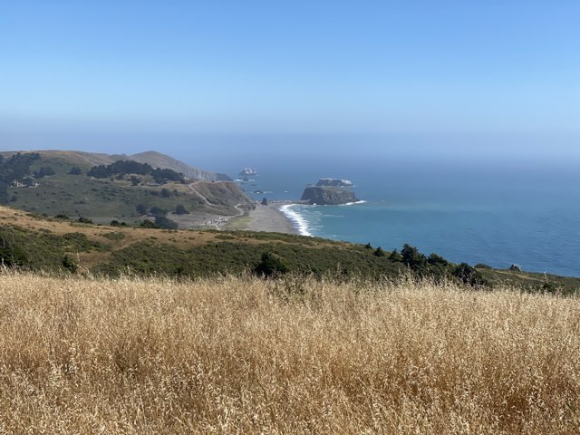 A Promontory's View of California's Coastal Beauty