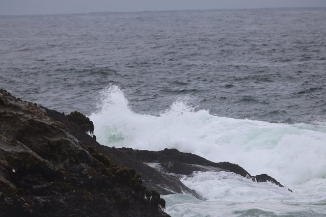 Wild Waves Crashing Against Rugged Coastal Rocks