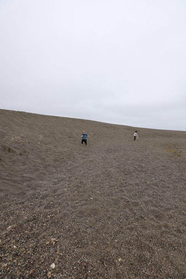 Children Climbing a Vast Coastal Sand Dune