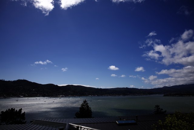 Serene Bay View from Tiburon Home