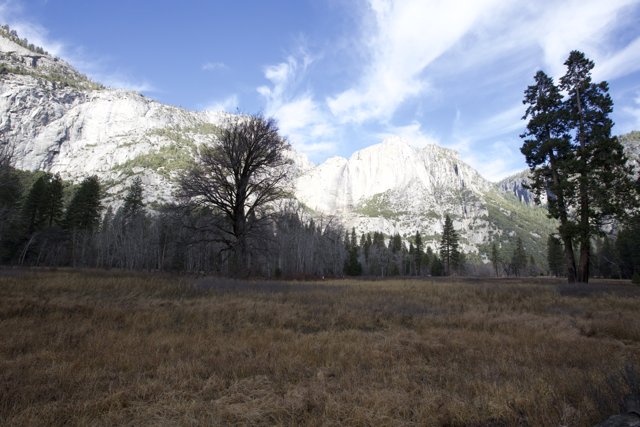 Yosemite's Winter Panorama