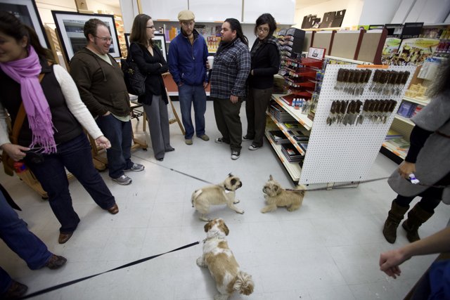 Canine Shopping Spree