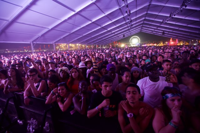 Coachella Crowd Cheers on Performers