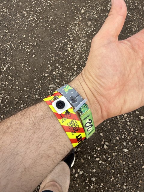 Festival Ready