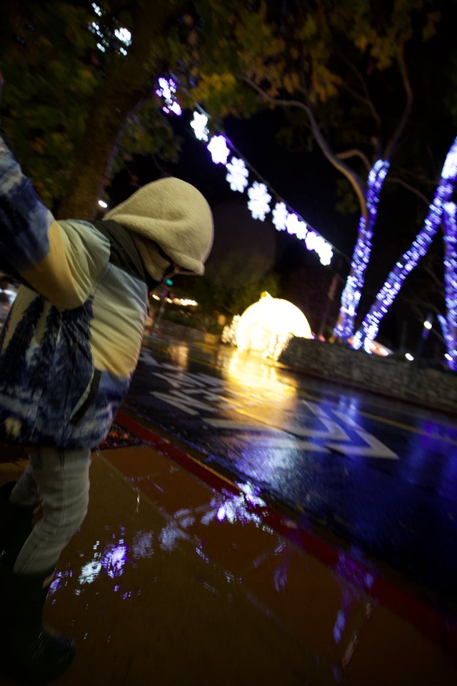 Person Gazing at Illuminated Holiday Display at Night