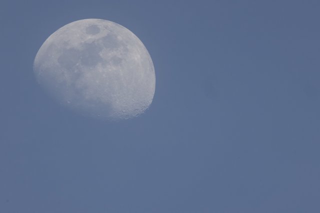 Tranquil Lunar Beauty