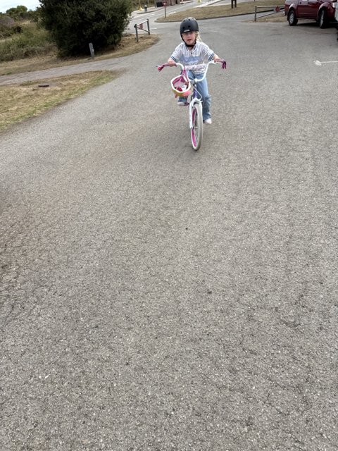 Little Adventurer on Wheels