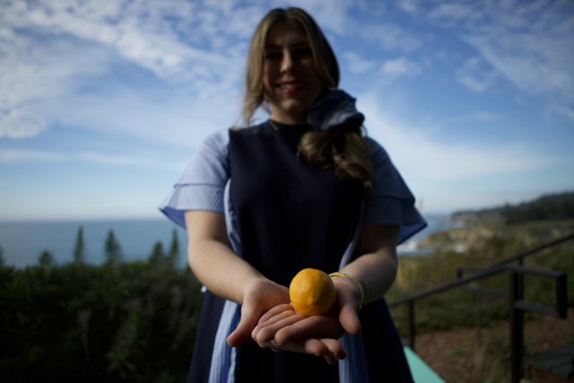 A Woman Holding a Juicy Citrus Fruit in the Open Air