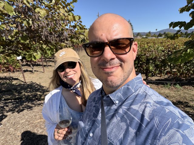 Sunlit Stroll Through Napa's Vineyards