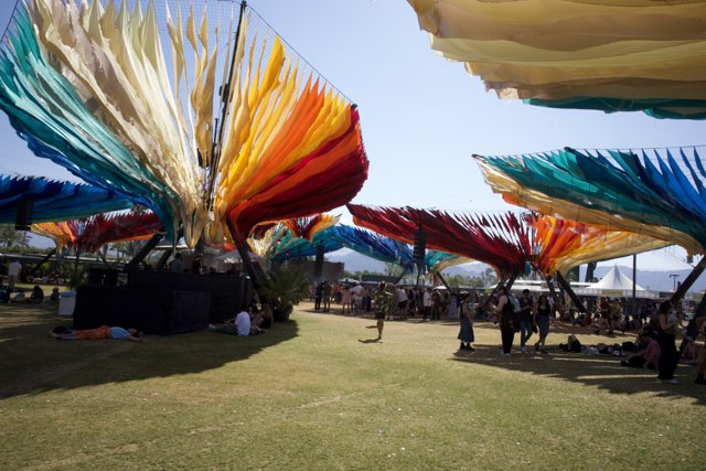 Vibrant Canopies at Coachella 2024
