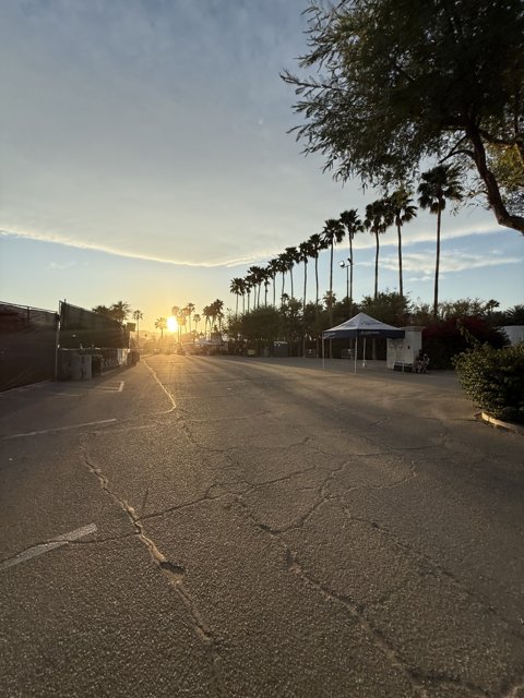 Golden Hour at the Empire Polo Club
